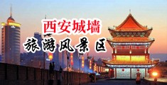 女生鸡巴在线看中国陕西-西安城墙旅游风景区