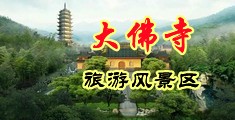 抽插网站免费中国浙江-新昌大佛寺旅游风景区